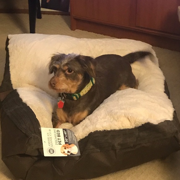 Smoke Free and Pet Friendly Home - Picture 6 of 9